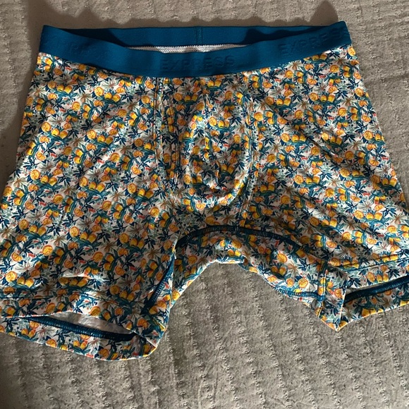 Express Mens Boxer Brief Large - Picture 1 of 1
